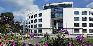 Brunel University